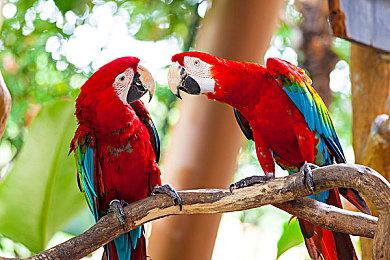 《极限俱乐部：无限2 - 终极版》11月30日登陆Steam